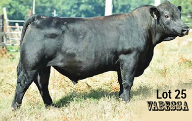 Lot 25 - 914U VALERO 4119C ET